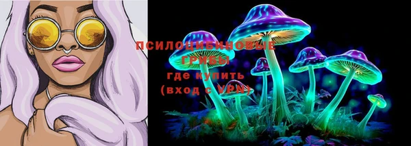 синтетический гашиш Елизово
