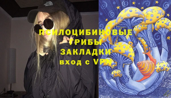 синтетический гашиш Елизово