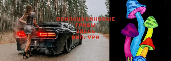 герыч Ельня