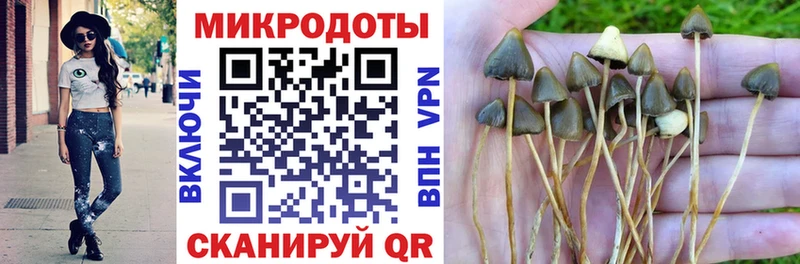 Псилоцибиновые грибы ЛСД Канск